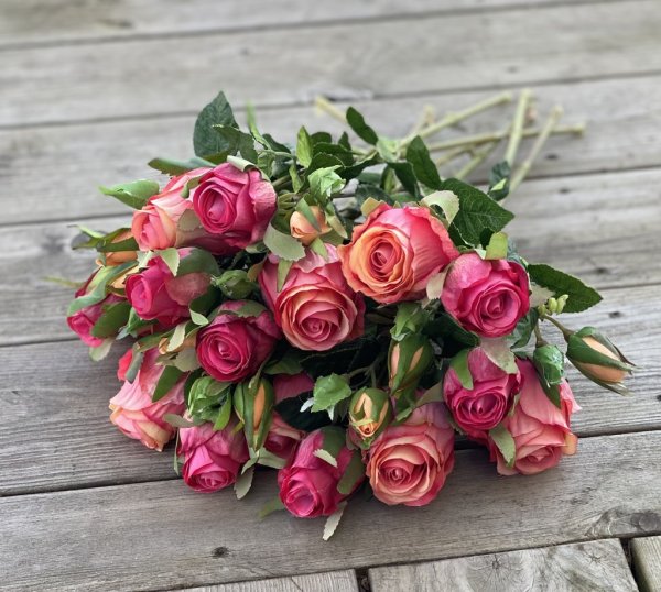 Vacker aprikos rosa ros / buskros kvist med flera blommor och gröna blad. Välarbetad vacker konstgjord ros med hög verklighets t