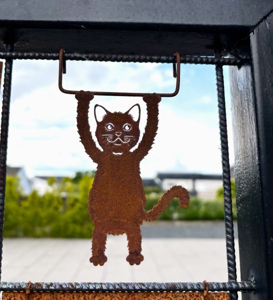 Katt i rost som hänger och gungar
