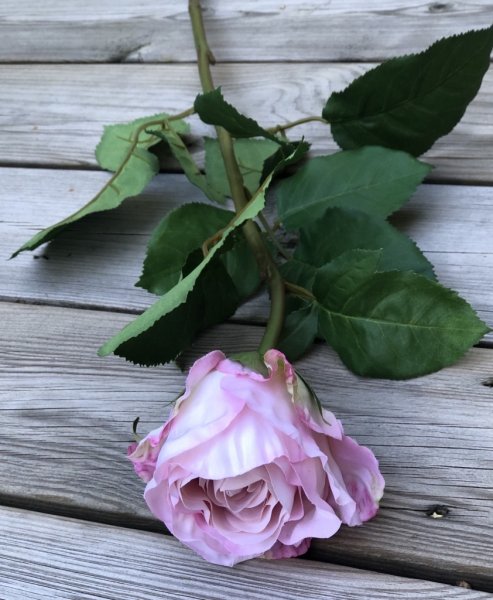 Vacker rosa ros med lång stjälk, gröna blad och fyllig rosa med vågiga blad Välarbetad vacker konstgjord ros med hög verklighets
