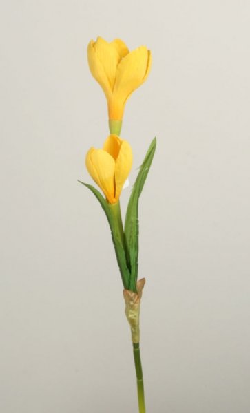 Krokus med dubbla blommor i snitt modell. Konstgjord modell med hög verklighetstrogen känsla. Finns i tre nyanser -Lila -Vit -Gu