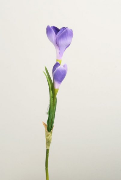Krokus med dubbla blommor i snitt modell. Konstgjord modell med hög verklighetstrogen känsla. Finns i tre nyanser -Lila -Vit -Gu
