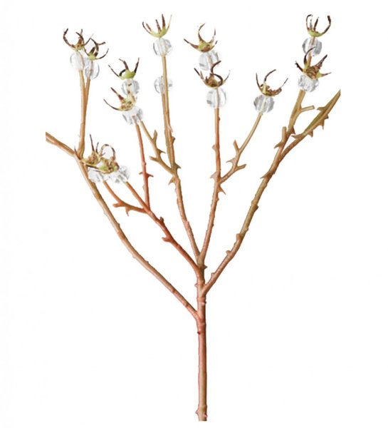 Vinter kvist med isbär att dekorera med . Ha den i en bukett eller bara som den är . Vacker och annorlunda modell. Från Mr Plant