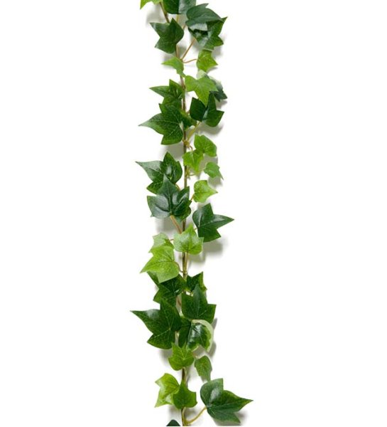 Girlang murgröna 180cm med gröna blad