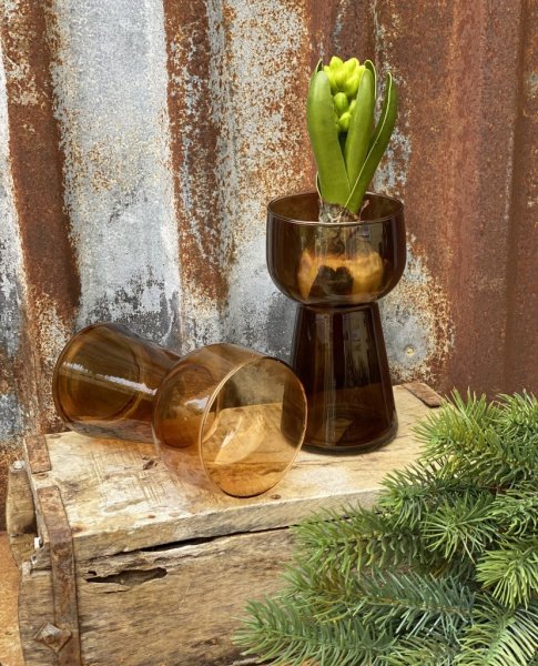 Brun vas / hyacintvas i glas. Klassisk modell som passar lika bra till andra blommor och lökar också. Finns i två nyanser -Mörkb