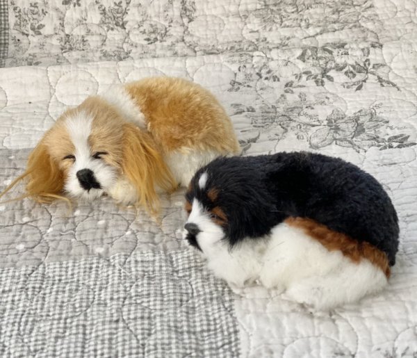 Söta mjuka hundvalpar som sover. Finns i åtta olika modeller/färger -Vit & Svart -Vit, Svart & Brun -Gul -Svart & Vit med långa