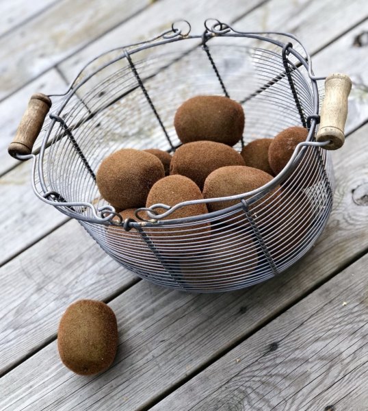 Kiwi konstgjord välarbetad modell med verklighets känsla . Brun med den lätt mjuka luddig yta som sig bör. Att fylla en frukt sk