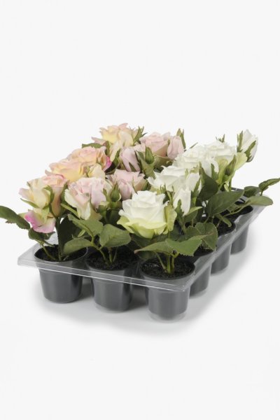 Vacker ros i kruka. Verklighets trogen välarbetad konstblomma. Finns i tre olika nyanser