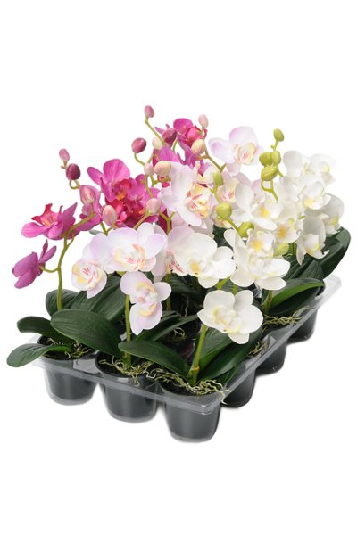 Liten Phalaenopis blomma i kruka med blommor, knoppar och blad. En vacker verklighetstrogen konstblomma som står i plast kruka.