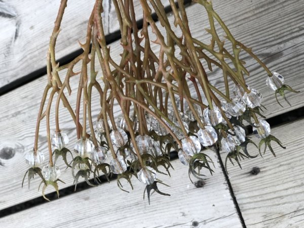 Vinter kvist med isbär att dekorera med . Ha den i en bukett eller bara som den är . Vacker och annorlunda modell. Från Mr Plant