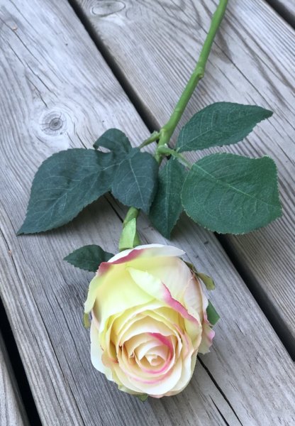 Vacker guld ros med rosa rodnad och gröna blad. Välarbetad vacker konstgjord ros med hög verklighets trogen känsla. Lika vacker
