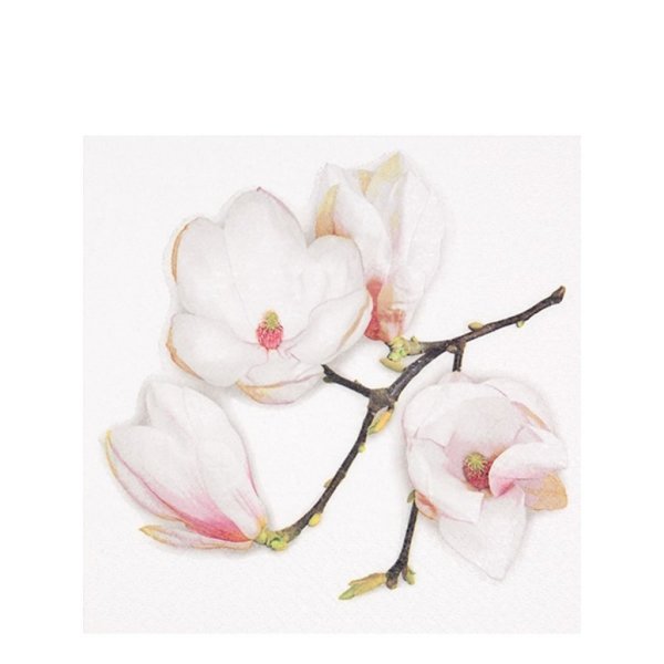 Kaffeservetter med vacker magnolia i mjuka ljusa nyanser . Kaffe Storlek 24*24cm 20st per paket 3-lags servetter Servetterna