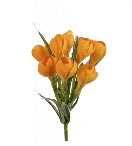 Vår bukett med gula crocus och gröna. I en trivsam bukett att sätta i en vas eller att låta ligga och dekorera med. I verklighet