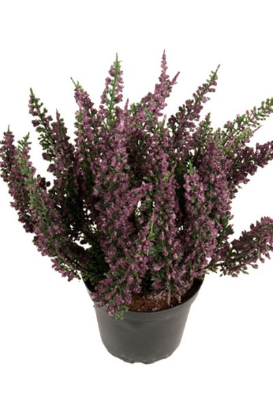 Ljung att dekorera, pynta och pyssla med . Konstgjord i verklighetstrogen modell . Finns i tre modeller /nyanser -Vit -Lila -Cer