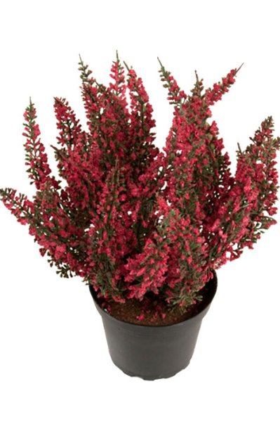 Ljung att dekorera, pynta och pyssla med . Konstgjord i verklighetstrogen modell . Finns i tre modeller /nyanser -Vit -Lila -Cer