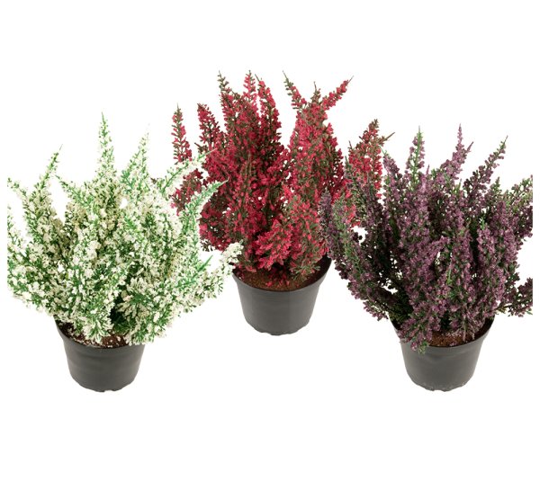 Ljung att dekorera, pynta och pyssla med . Konstgjord i verklighetstrogen modell . Finns i tre modeller /nyanser -Vit -Lila -Cer