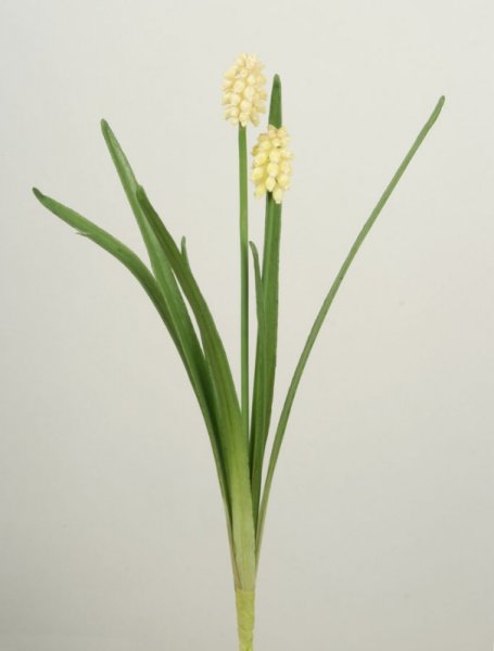 Vit pärlhyacint i snitt modell med dubbla blommor och gröna blad. Hög stjälk som passar bra i en bukett. Konstgjord vacker mode