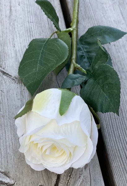 Vacker aprikos rosa ros med gröna blad. Välarbetad vacker konstgjord ros med hög verklighets trogen känsla. Lika vacker ensam so