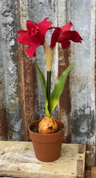 Röd vacker verklighetstrogen och välarbetad amaryllis i konstgjord modell. I mindre modell med flera vita klockor blommor och gr