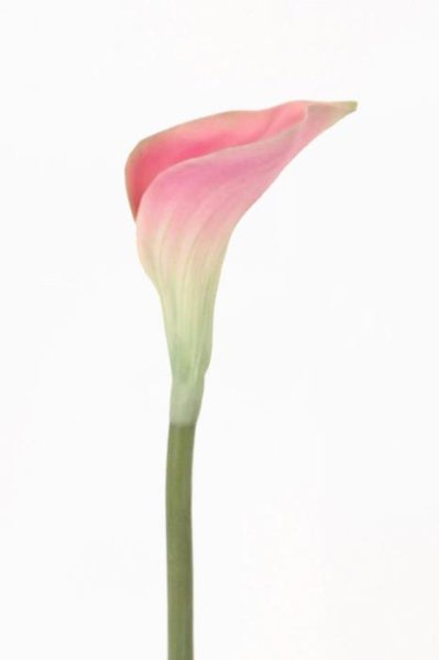 Ljus rosa Calla vacker konst blomma med lång stjälk. Välarbetad, verklighetstrogen konstblomma i snitt modell. Att ha i en sing