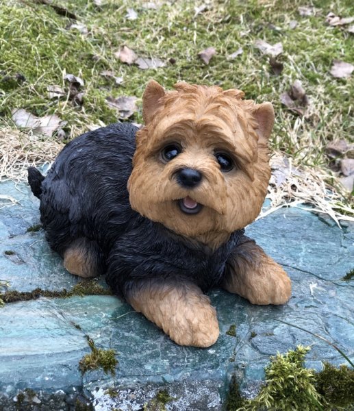 Söt hundvalp att dekorera med. I lite större modell med fina verklighetstrogna detaljer. Finns i flera olika varianter/raser. -M