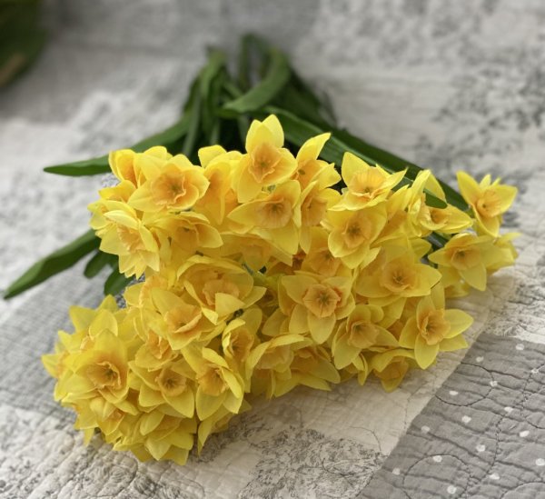 Vår vacker bukett med gula Narciss / påskliljor. I modell som gör sig fint i en vas , i en bukett/arrangemang ensam eller tillsa