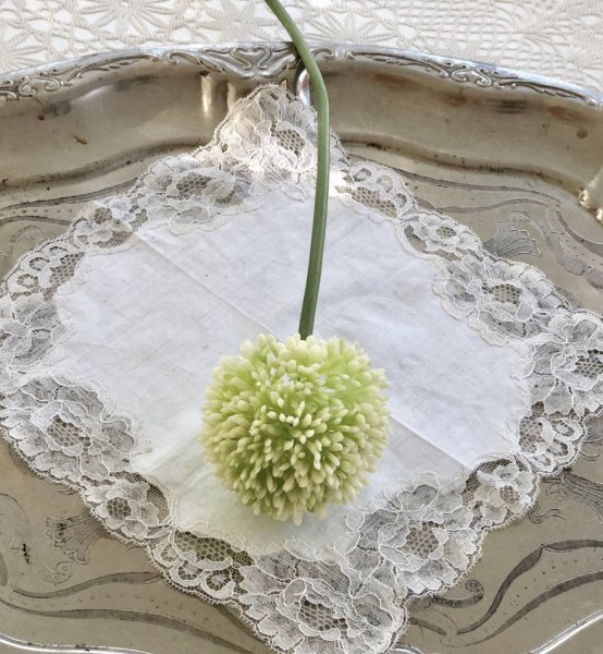 Vit /cream vit Allium blomma bollformad med grön stjälk. Välarbetad och vacker konstgjord blomma med verklighets känsla. Lika va