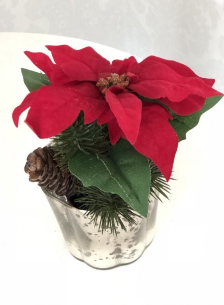 Vacker röd julstjärna i kruka. Dekorerad med grankvistar och en kotte. Ett mindre färdigt jul/advent arrangemang att ställa i en