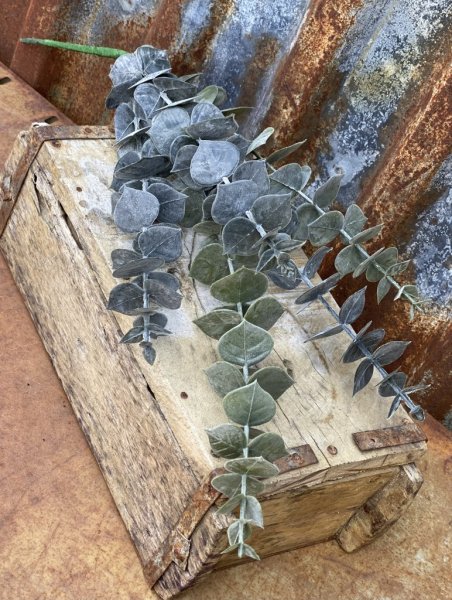 Fyllig grön eukalyptus gren/kvist, i verklighetstrogen välarbetad konstgjord modell. Att ha som den är eller att fylla ut en buk