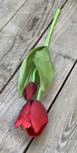 Röd tulpan med två blommor en utslagen och en knopp omgivna av gröna blad. Välarbetad, vacker och verklighetstrogen konstgjord m