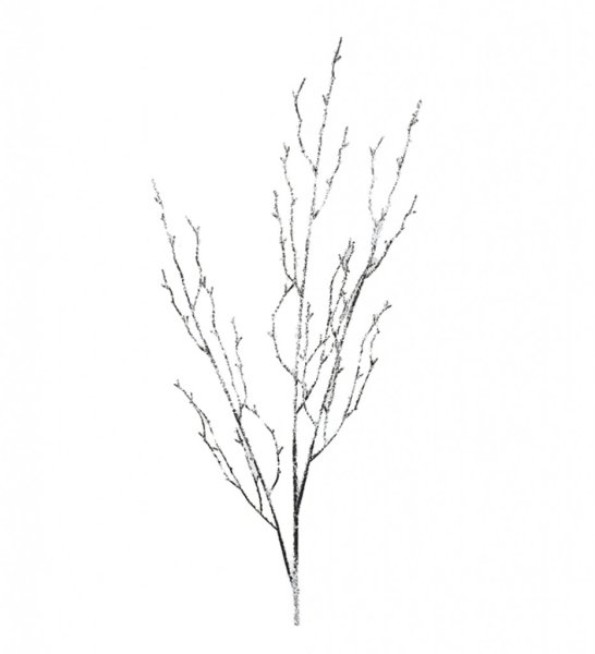 Natur kvist/gren med vit pudersnö. Att dekorera med ensam eller i ett arrangemang en bukett eller liknande. Från Mr Plant Mäter