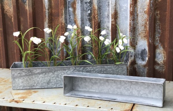 Vacker moss beklädd planta med kungsängsliljor Frittilaria. Med stilfulla vita klockor och gröna blad. Välarbetad och verklighet