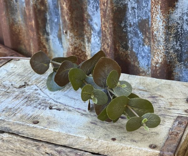 Eucalyptus kvist/gren i murrigt grön färgad nyans. Konstgjord med verklighetskänsla. Att dekorera med ensam eller tillsammans me