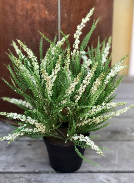 Vit ljung i kruka. Konstgjord verklighetstrogen modell med gröna inslag. Ljungen står i en plastad innerkruka som med fördel kan