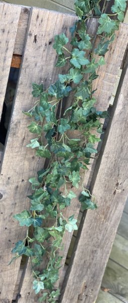 Vacker girlang med grön murgröna mixande med stora och små blad. Fler radig fyllig längre modell. Att dekorera med hängandes ell
