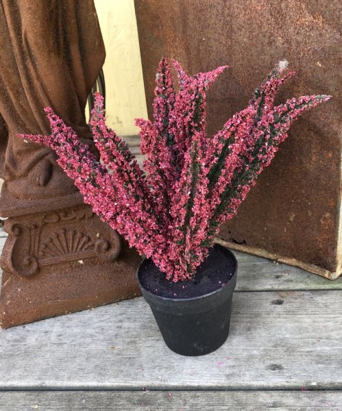 Ljung vit med gröna inslag . I kvist /gren modell dvs utan kruka . Perfekt modell för arrangemang med andra blommor eller bukett