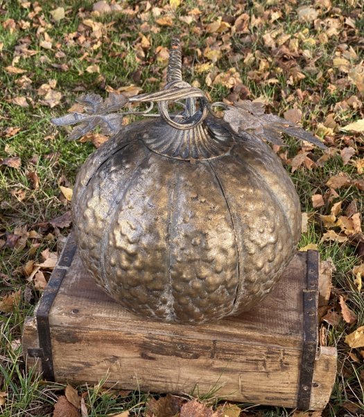 Vacker, elegant och annorlunda pumpa i guld. Detalj full och välarbetad med fina detaljer runt om. Tillverkad i metall tyngre i
