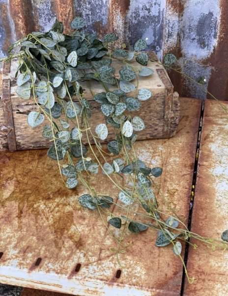 Ceropegia kvist/ bukett hjärtan på tråd kvist/bukett i fyllig fler grenad modell att dekorera med. Konstgjord välarbetad i verkl