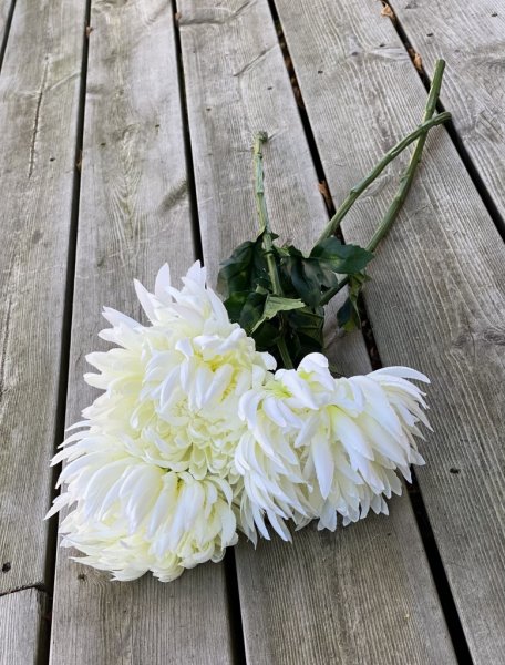 Vacker vit krysantemum brun med gröna blad. Lång stjälk och fyllig blomma. Välarbetad och verklighetstrogen konstgjord blomma.