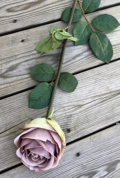 Vacker gammelrosa/lila ros med lång stjälk, gröna blad och fyllig stor färgad blomma. Välarbetad vacker konstgjord ros med hög v