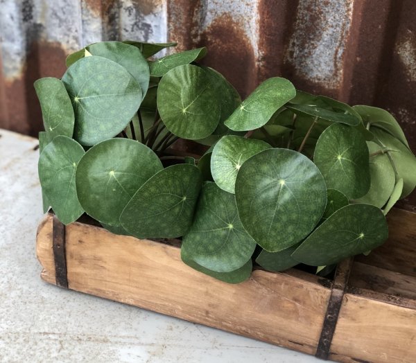 Elefantöra grön konstgjord växt i kruka. Välarbetad och verklighetstrogen med flera gröna blad. Växten står i en plastad innerkr