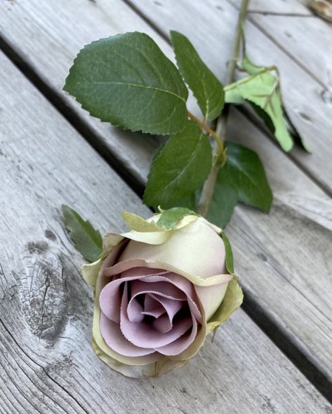 Vacker lila ros i knoppig modell med gröna blad. Välarbetad vacker konstgjord ros med hög verklighets trogen känsla. Lika vacker