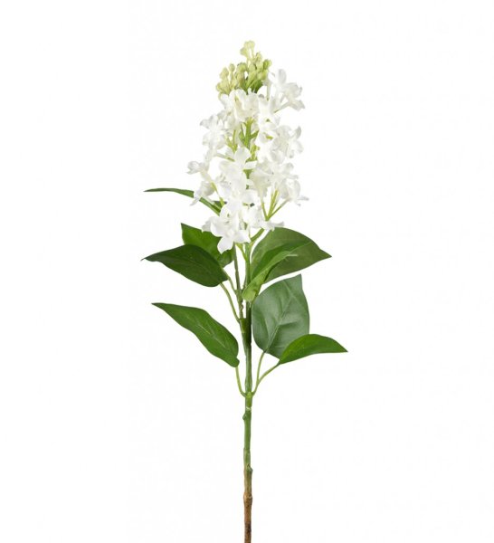 Vacker vit Syren kvist i större/längre modell. Fyllig med flera blommor och blad . Böjbar formbar modell. Vacker att dekorera me