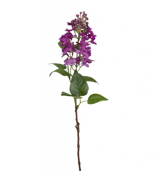 Vacker mörk lila Syren kvist i större/längre modell. Fyllig med flera blommor och blad . Böjbar formbar modell. Vacker att dekor