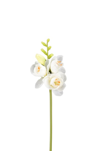 Freesia vacker vit konstgjord blomma