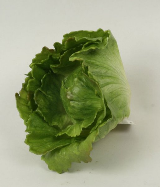 Kål salladshuvud / salladskål att dekorera med