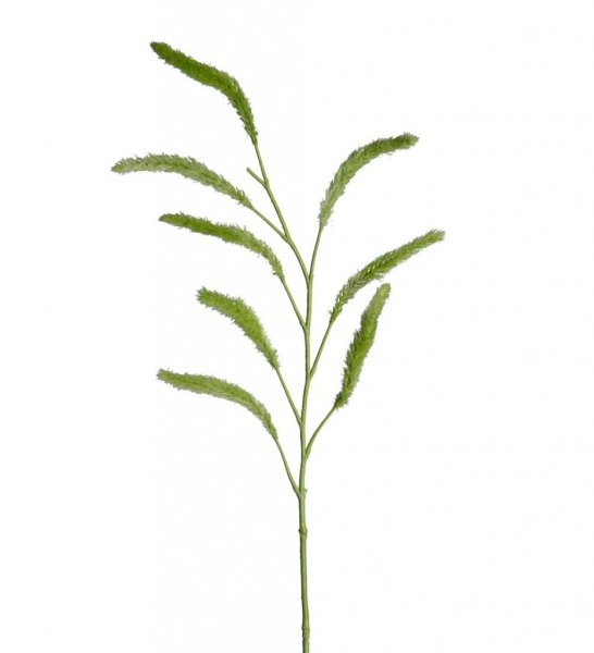 Gräs grässtrå att dekorera med. I högre modell som gör sig lika bra ensam som till utfyllnad i en bukett med andra blommor eller