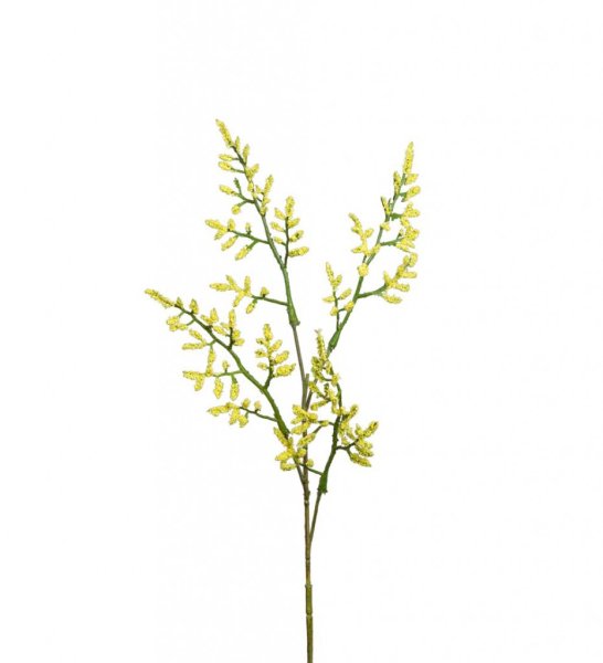 Gul Limonium kvist att dekorera med. Fyllig fin modell som är lika vacker ensam i en vas som utfyllnad tillsammans med flera and
