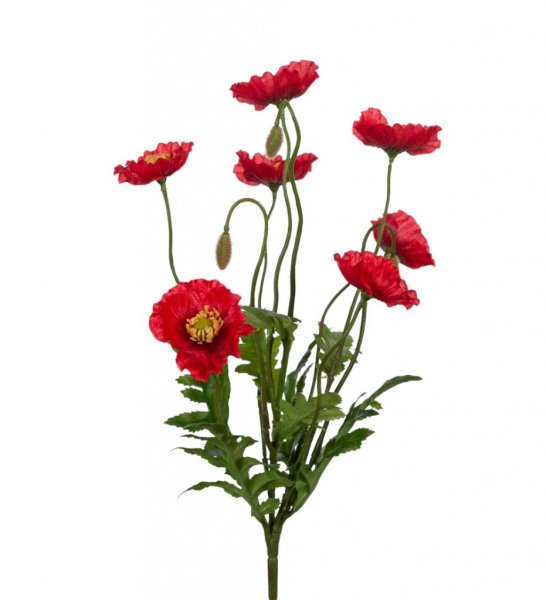 Vallmo bukett med flera röd sommar blomma med gröna stjälkar. Buketten är lika fin ensam som tillsammans med andra blommor i en