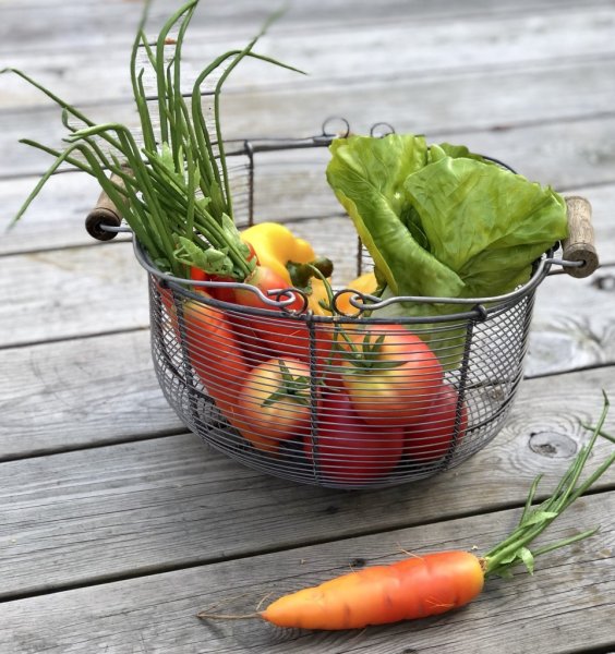 Sallad salladskål i en frisk grön nyans, konstgjord att dekorera med. Välarbetad med verklighets känsla. Från Mr Plant Mäter ca