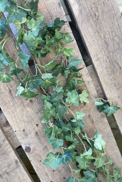 Vacker girlang med grön murgröna mixande med stora och små blad. Fler radig fyllig längre modell. Att dekorera med hängandes ell